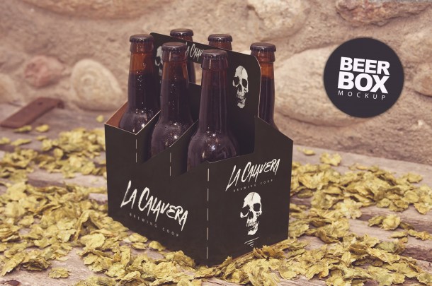 1B 6 Pack Beer Box Mockup (2340x1560)